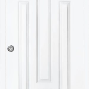 ประตูเหล็ก PROFESSIONAL DOOR รุ่น MODERNIZED EVOLUTION STEEL DOOR