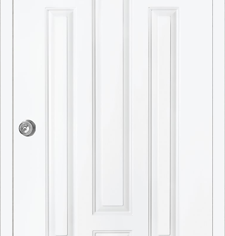 ประตูเหล็ก PROFESSIONAL DOOR รุ่น MODERNIZED EVOLUTION STEEL DOOR